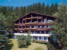 Ferienhaus Schiwiese in summer